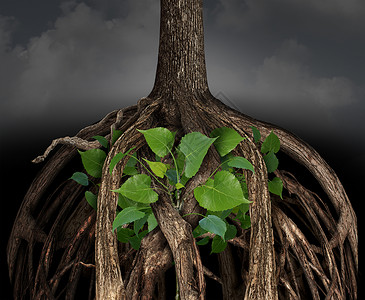 树根下吃西瓜困难的商业增长种巨大的树根障碍,困住了棵决心较小的绿色树苗,代表着充满挑战的情况下事业生活奋斗以繁荣的想法背景