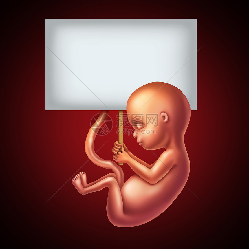 未出生的婴儿产前筛查信息妇产科沟通符号胎儿持空白标志怀孕生育建议的保健与三维插图元素图片