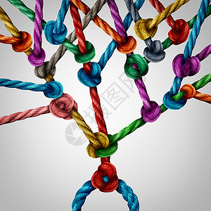 网络树连接连接的绳索绑生长结构图片