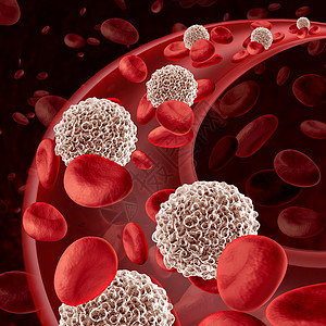 白细胞循环人体免疫系统的微生物学防御符号,抗感染,防御保护人体免受传染病的影响,三维插图背景图片