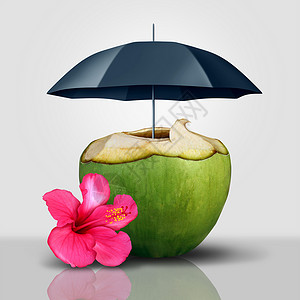 度假安全标志椰子热带饮料保护覆盖伞旅游旅游安全保证与3D插图元素图片