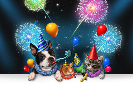生日派新宠物庆祝个夜晚聚会,烟花派群动物只快乐的狗,猫,鸟仓鼠庆祝周生日聚会与3D插图元素设计图片