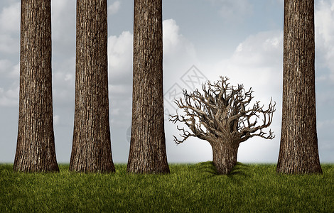 相异相反的思维反向的高大的树木个植物树干倒置暴露根个商业隐喻与三维插图元素背景