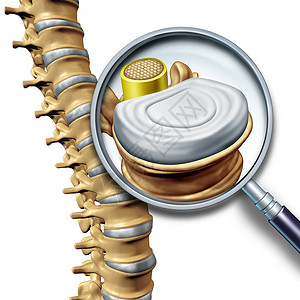格拉纳非神经腰椎解剖节段医学,人体背部骨骼的个特写,个椎体放大,脊髓椎间盘个三维插图分离白色背景