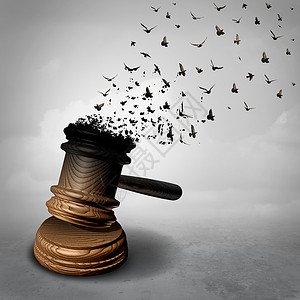 大赦法律衰落法律赦免的象征,法官的木槌木槌,被化为自由的飞鸟,宽恕公正的正义隐喻,自由种三维的背景图片
