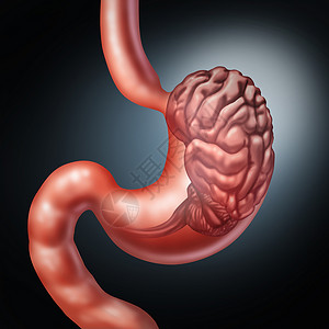系统思考胃脑肠道神经系统象征肠道感觉,人类消化思考器官,胃肠功能消化紊乱食物渴望的图标与三维插图元素背景