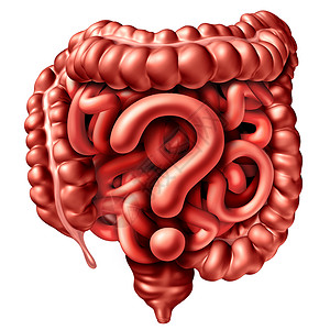 消化问题人体肠道结肠形状的胃肠道问号,结肠镜检查胃炎症癌症的象征,三维插图背景
