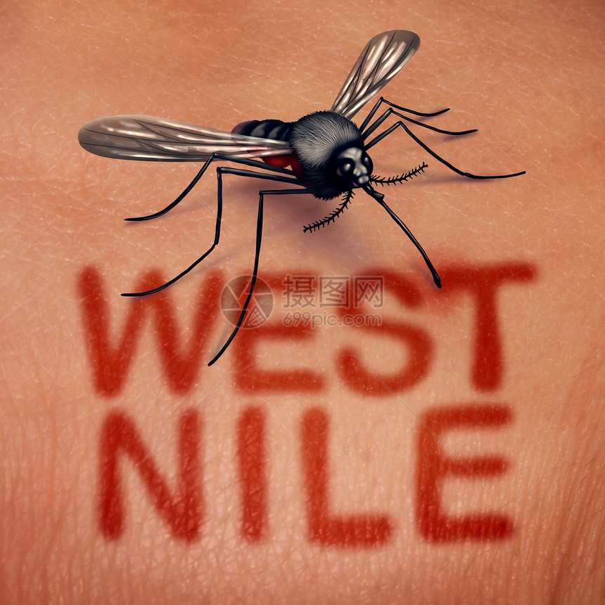 西尼罗河病病种蚊子传播的疾病,人体解剖学上的种叮咬,皮肤上的红色文字种医学感染综合征的象征,以3D插图风格图片