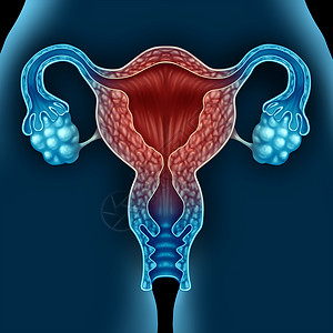 卵巢养护衰老人类子宫更期状态的三维插图元素背景