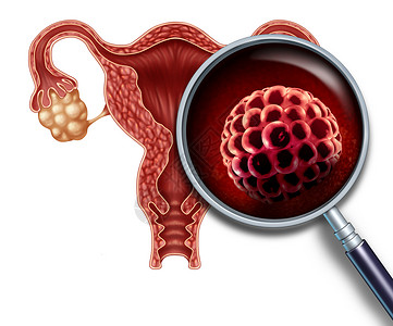 卵巢疾病早孕囊胚植入人体子宫内受精医学,生殖中的植入生殖细胞分裂图标,代表三维插图中的解剖生育成功符号背景