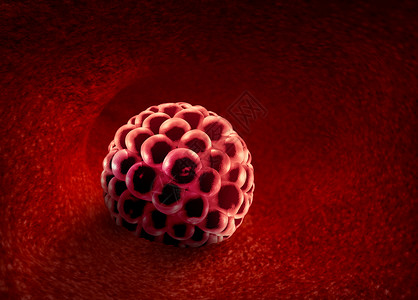 杂合子囊胚植入子宫内受精医学,人类生殖中植入的生殖细胞分裂图标,代表三维插图中的解剖生育成功符号背景