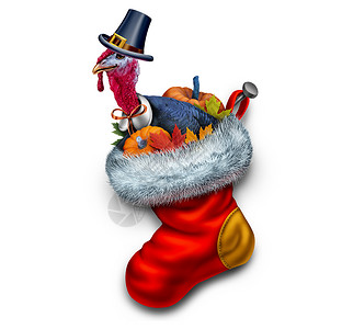 感恩节火鸡袜子秋收庆祝标志与3D渲染元素白色背景图片