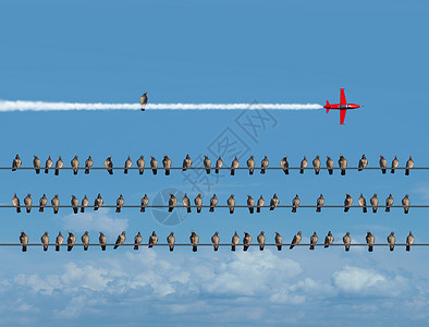 电线群鸟创造力超现实的高清图片