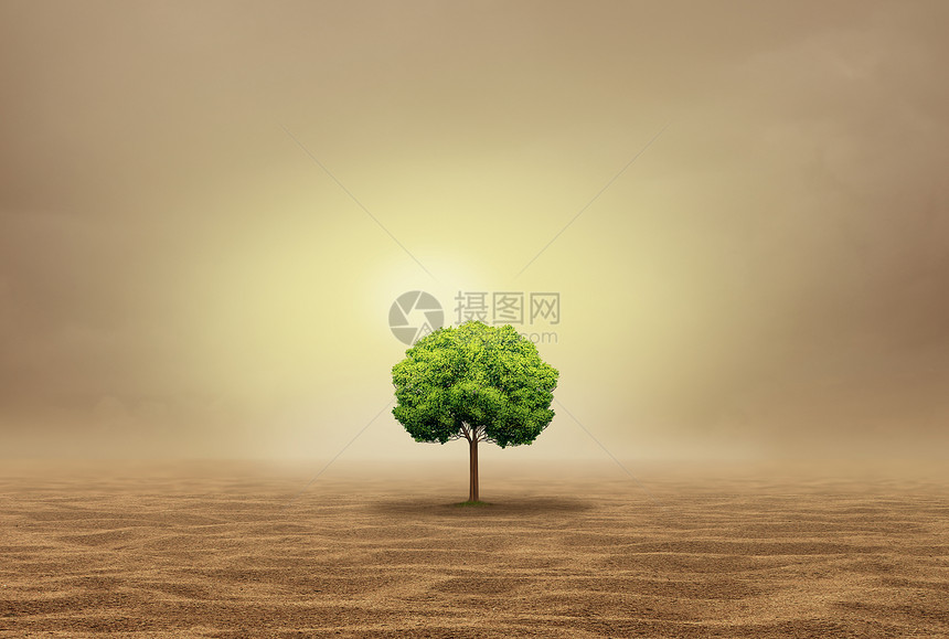 搁浅无助绿洲的,个脆弱的单树木炎热干旱的沙漠个撤回的隐喻三维插图风格图片