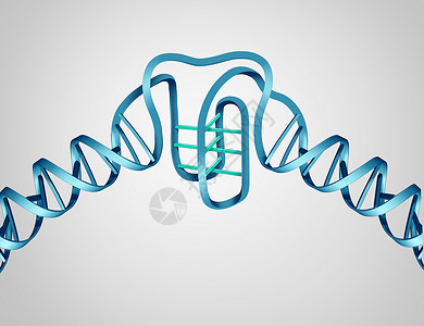 把新的DNA发现种科学生物学的,个分子结构个3D插图的基序DNA背景图片