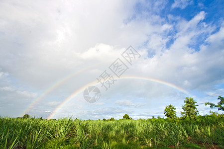 夏季日光景观与草地,白云天空双虹高清图片
