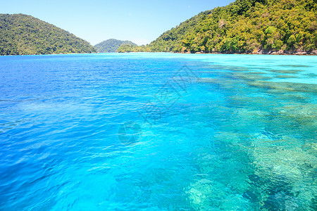 浮潜点与美丽的珊瑚景观苏林公园普吉岛泰国图片