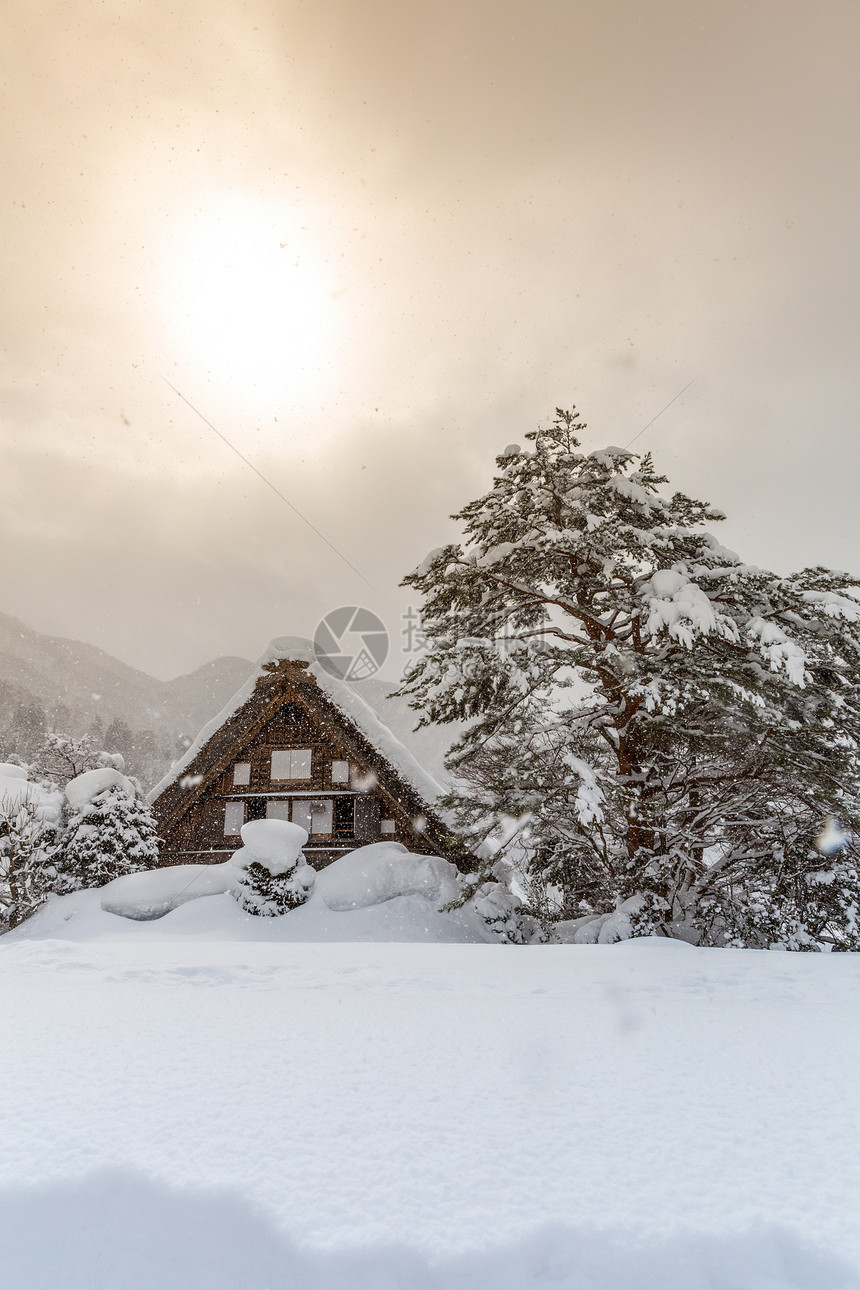 西拉卡瓦戈降雪冬季阳光,日本岐阜楚布图片