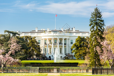 白宫华盛顿特区,美国背景图片