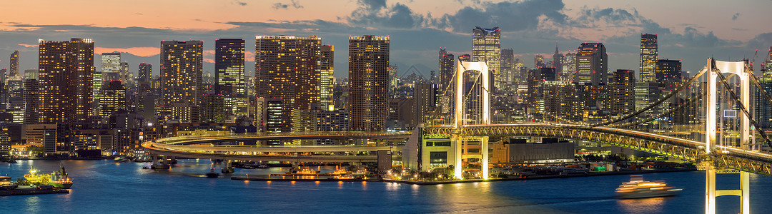 全景东京塔天际线彩虹桥与城市景观大叶日本图片
