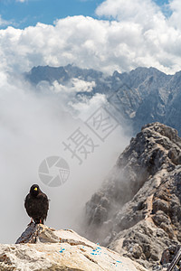 德国祖格斯皮策顶部的阿尔卑斯乔夫图片