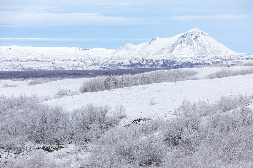 冬季景观冰岛冬季景观与雪覆盖的树木Dimmuborgir湖Myvatn,冰岛图片