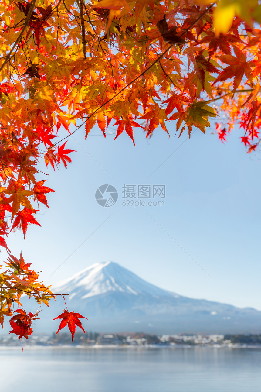 mt富士秋季KawaguchikoKawaguchi湖日本Fujikawaguchiko选择图片