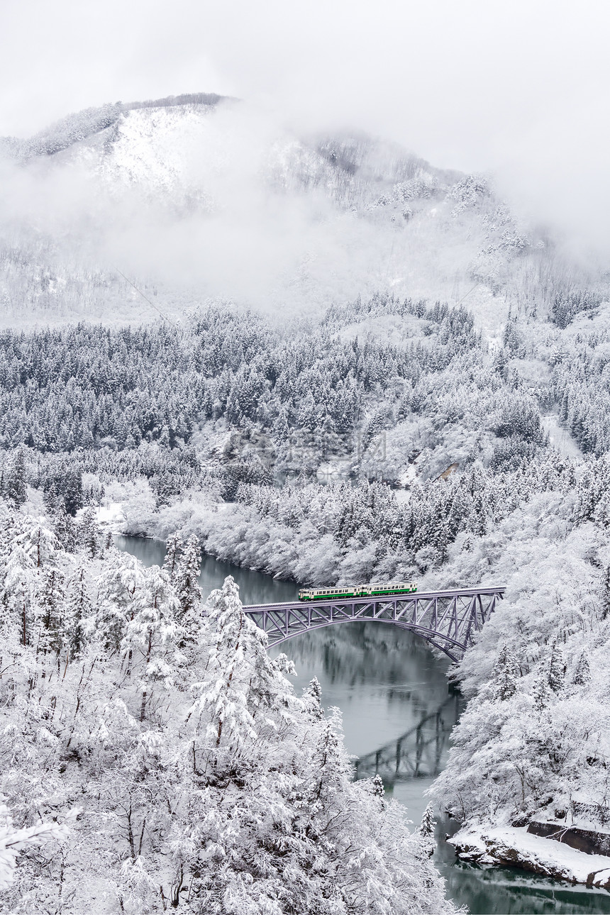 冬天的景观雪覆盖着桥上的火车过河的树木图片