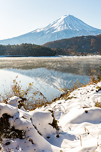 雪早晨枫树mt富士雪深秋KawaguchikoKawaguchi湖日本富士山背景