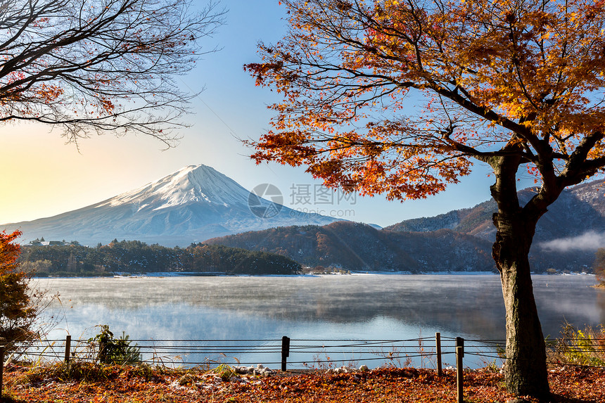 日出山富士秋季KawaguchikoKawaguchi湖日本富士山图片
