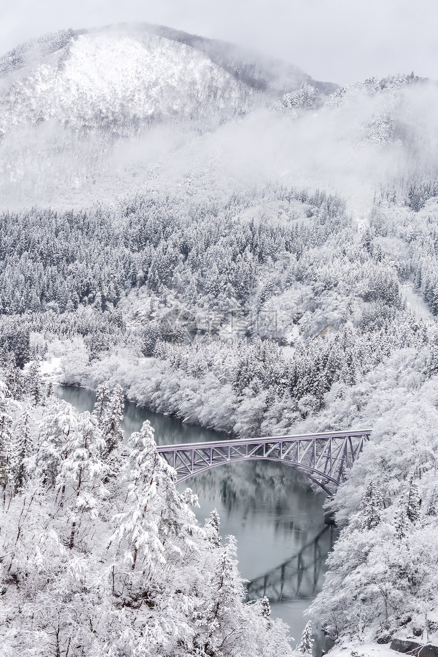 冬天的景观雪覆盖着桥上的火车过河的树木图片