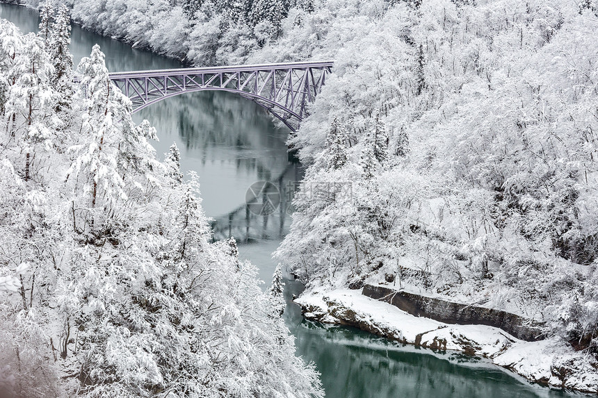 冬天的景观雪覆盖着桥上的火车过河的树木图片