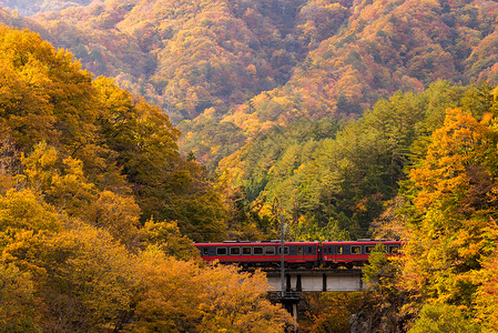 秋叶与红色火车通勤福岛日本红色火车通勤福岛日本图片
