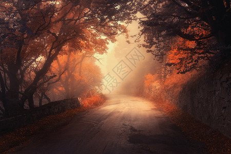 乡村道路雾神秘的秋红森林,雾中路坠落薄雾树林五颜六色的景观树木,乡村道路,橙色红色的叶子,雾旅行秋天的背景背景