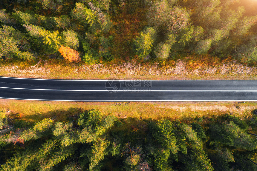 白云岩日出时意大利森林道路的鸟瞰图完美的沥青道路的顶部景观,秋天的绿树橘子树公路穿过秋天的林地欧洲旅行旅行图片