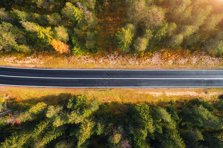 森林鸟瞰图白云岩日出时意大利森林道路的鸟瞰图完美的沥青道路的顶部景观,秋天的绿树橘子树公路穿过秋天的林地欧洲旅行旅行背景