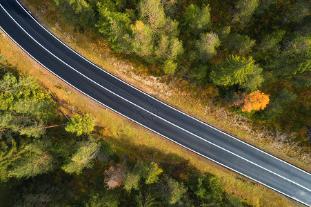 白云岩日出时意大利森林道路的鸟瞰图完美的沥青道路的顶部景观,秋天的绿树橘子树公路穿过秋天的林地欧洲旅行旅行背景图片