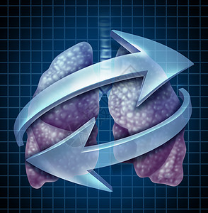 呼吸肺人类呼吸系统符号个解剖,吸入呼出与三维插图元素图片