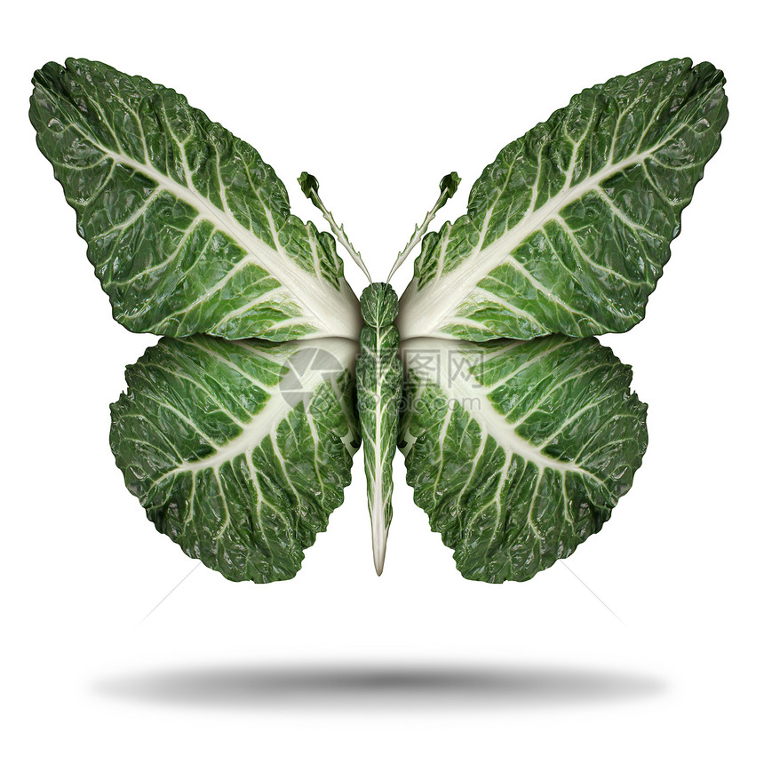 纯素绿叶象征素食主义素食种基于植物的蔬菜养生饮食生活方式,如甘蓝叶形状为飞行蝴蝶三维插图图片