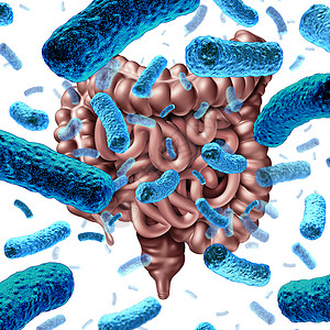 益生菌包装肠道细菌小肠内的益生菌结肠肠道内的消化菌群,微生物群的健康标志三维渲染背景
