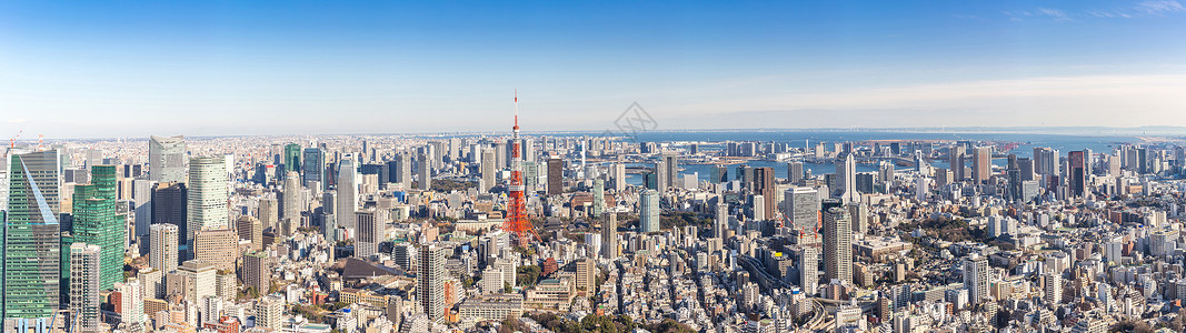 东京塔与天际线东京日本全景图片