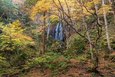 地方行政区域福岛秋秋季节的Tatsuzawafudo瀑布背景