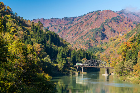 秋叶福岛蝌蚪黑桥观景点福岛日本高清图片