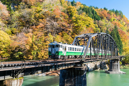 秋叶福岛蝌蚪黑桥观景点福岛日本高清图片