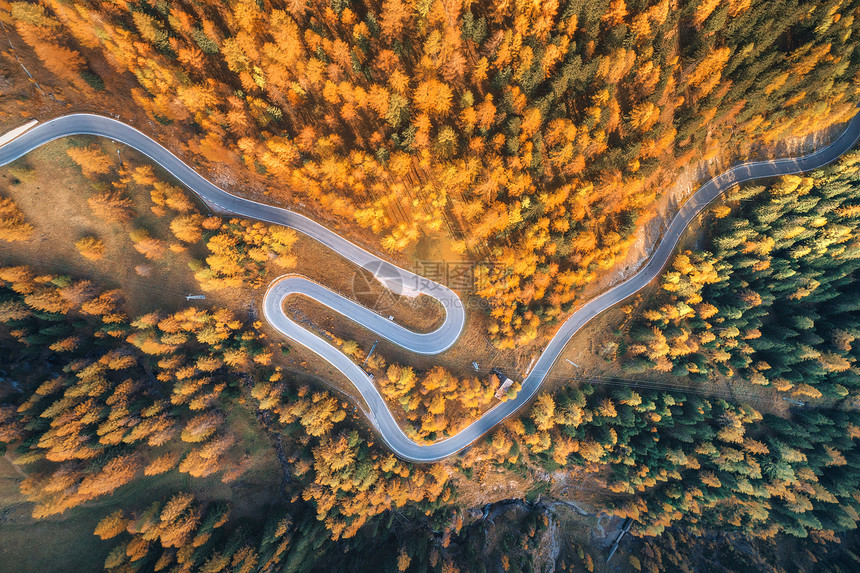 秋天森林里蜿蜒的道路日落的山上鸟瞰完美的沥青道路橘子树的顶部视图公路秋天穿过林地欧洲旅行旅行自然图片