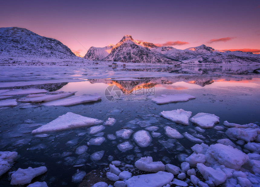 美丽的夕阳下,海上漂浮的冰着雪山粉红色的天空挪威洛福腾群岛冬季景观霜冻的海岸,岩石,寒冷的夜晚水中反射海图片