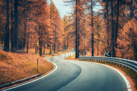 日落时秋天森林里的路美丽蜿蜒的山路,红色的叶子橙色的阳光秋季林地的空沥青巷道景观运输季节的背景图片