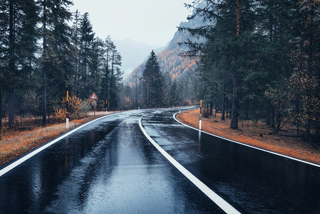雨中秋林中的道路高清图片