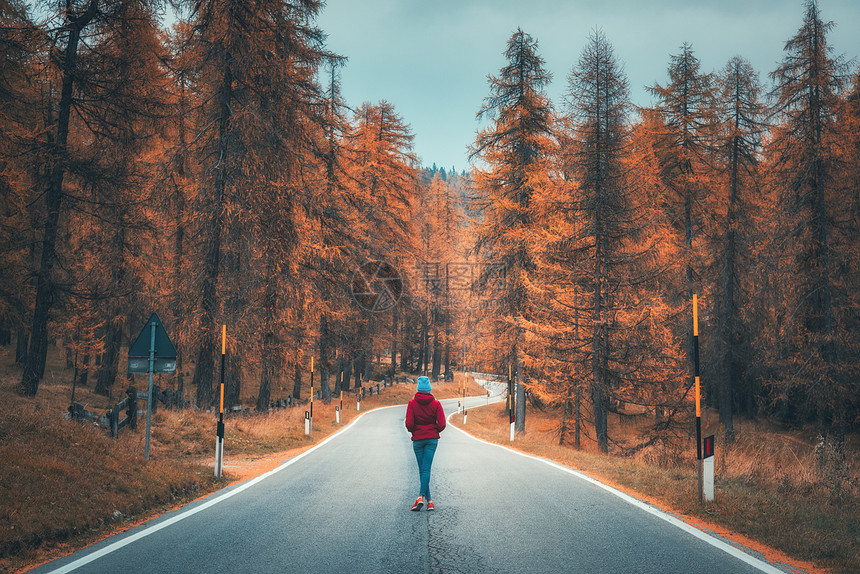 夕阳下秋林路上的轻女子风景与女孩穿着红色夹克,山路,橘子树秋季林地的空沥青巷道欧洲旅行冒险图片