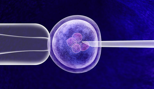 基因学基因编辑体外遗传CRISPR基因工程医学生物技术保健与受精的人卵胚分裂细胞三维插图背景